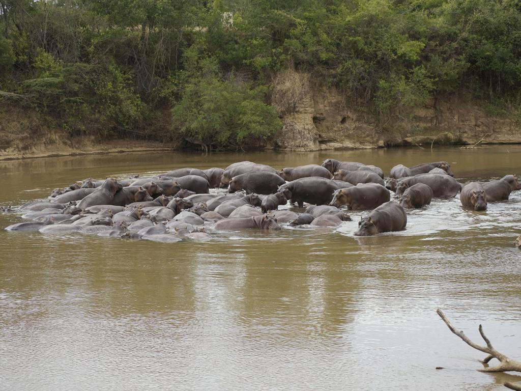 Ngerende Island Lodge (Adults Only) Maasai Mara Kültér fotó